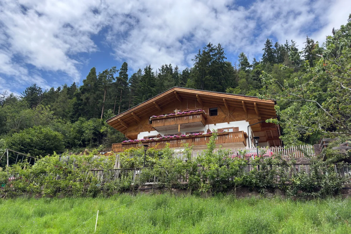 Dove il bosco abbraccia l’agriturismo: un rifugio di pace e natura