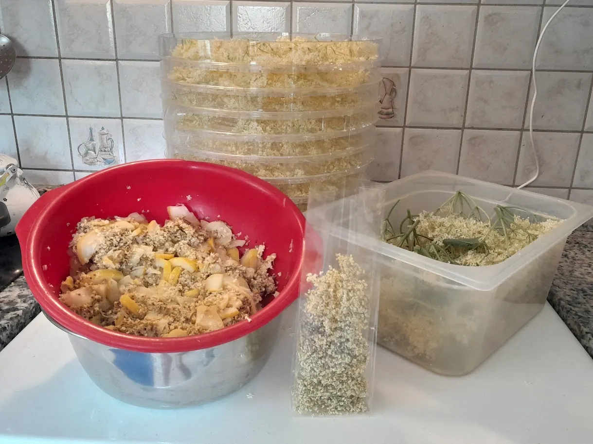 Profumo d'Estate al Kabishof: Segreti e Ricette a base di Sambuco